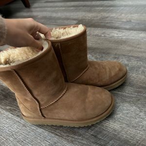 Women’s Classic Short UGGs